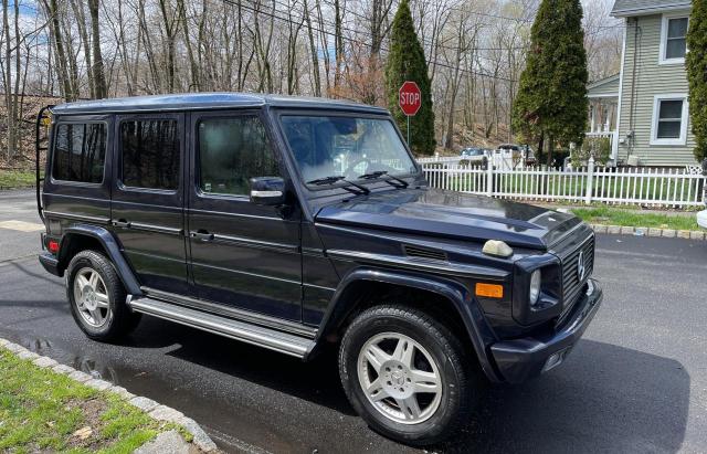 MERCEDES-BENZ G 500 2003 wdcyr49e73x140065