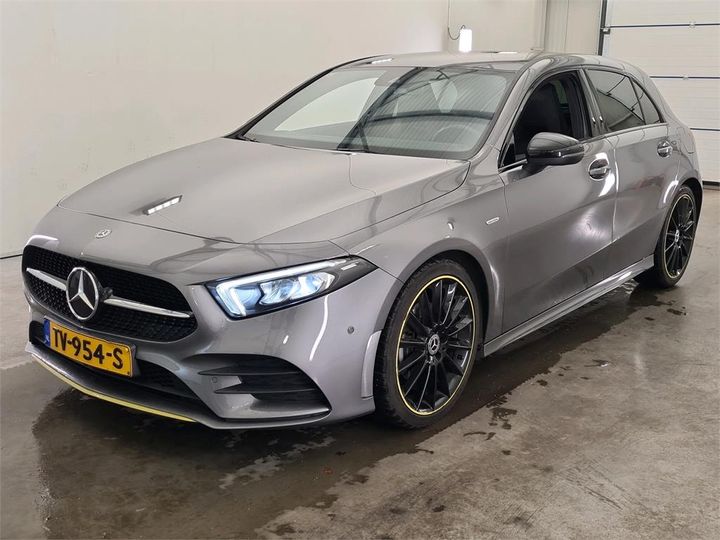 MERCEDES-BENZ A-KLASSE 2018 wdd1770031j057232