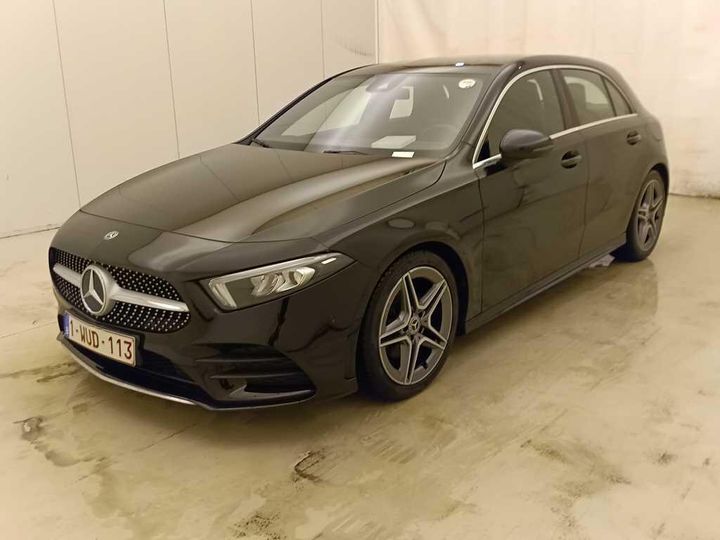 MERCEDES-BENZ A-KLASSE 2019 wdd1770031n105401