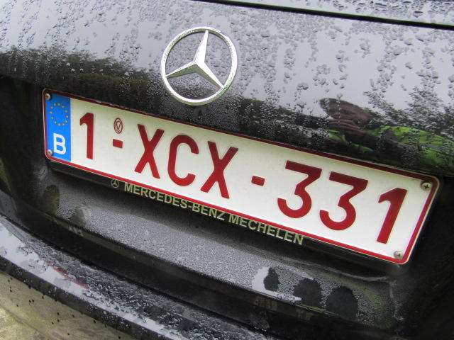 MERCEDES-BENZ A-KLASSE 2019 wdd1770121j160366