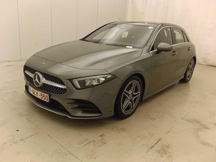 MERCEDES-BENZ A-KLASSE 2019 wdd1770121n099687