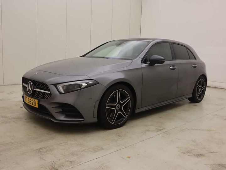 MERCEDES-BENZ A-KLASSE 2019 wdd1770451n112890