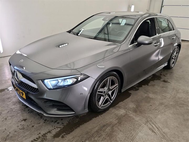 MERCEDES-BENZ A-KLASSE 2019 wdd1770461v017407