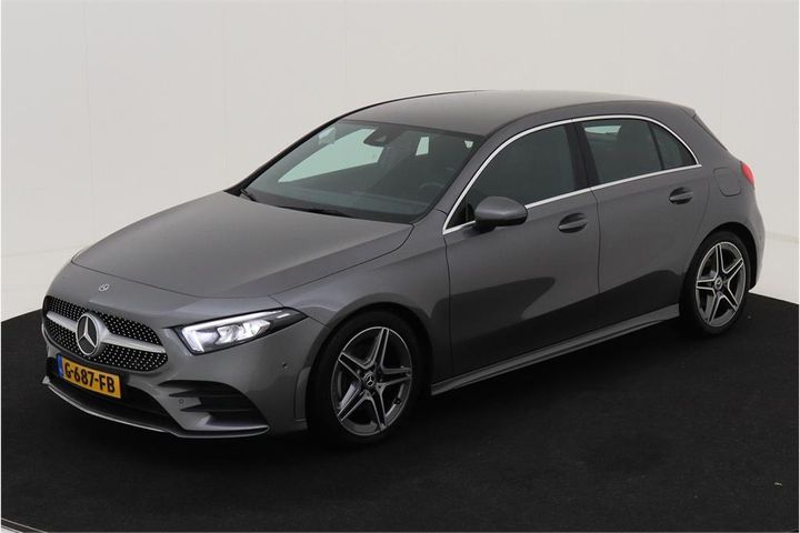 MERCEDES-BENZ A-KLASSE 2019 wdd1770821j140391