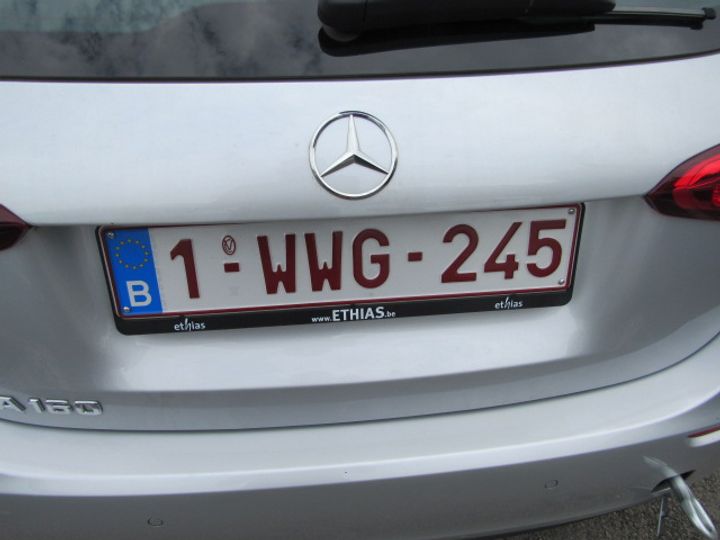 MERCEDES-BENZ A-KLASSE 2019 wdd1770821j157025