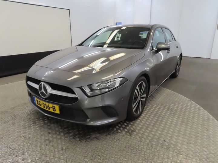 MERCEDES-BENZ A-KLASSE 2019 wdd1770841j066981