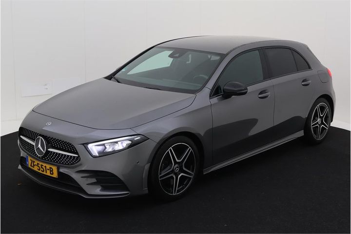 MERCEDES-BENZ A-KLASSE 2019 wdd1770841v029350