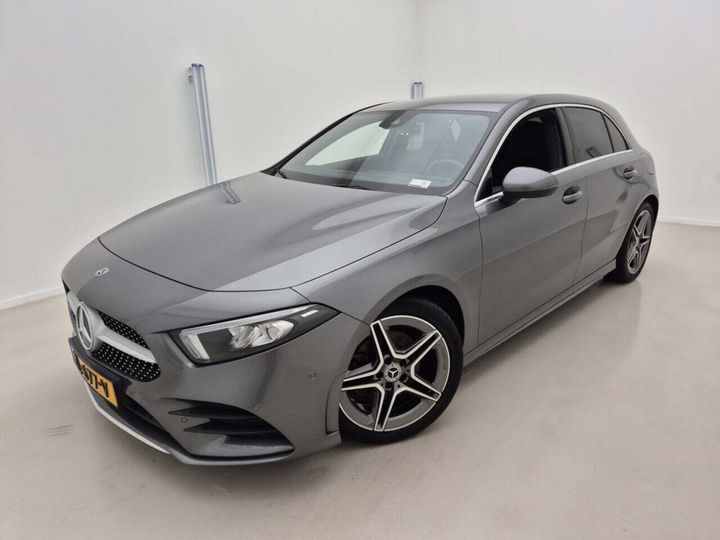 MERCEDES-BENZ A-KLASSE 2019 wdd1770841v037098