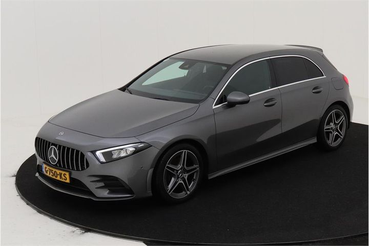 MERCEDES-BENZ A-KLASSE 2019 wdd1770841v047714