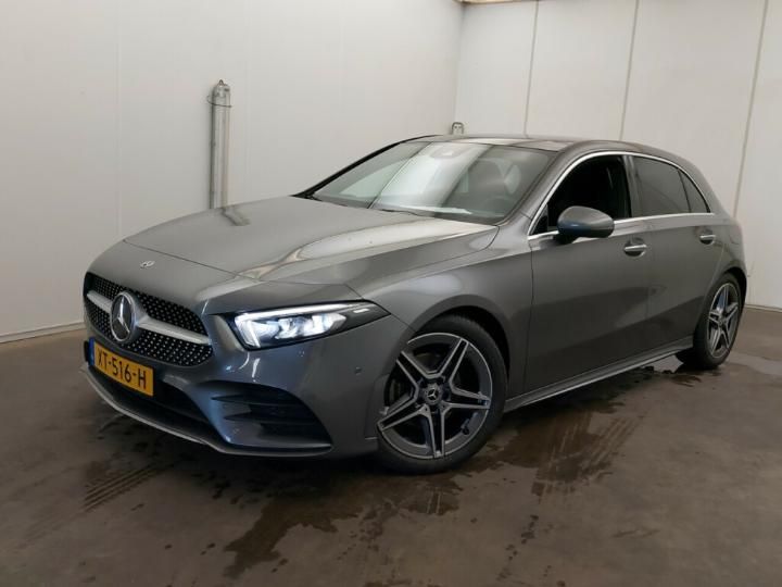 MERCEDES-BENZ A-KLASSE 2019 wdd1770871n050777