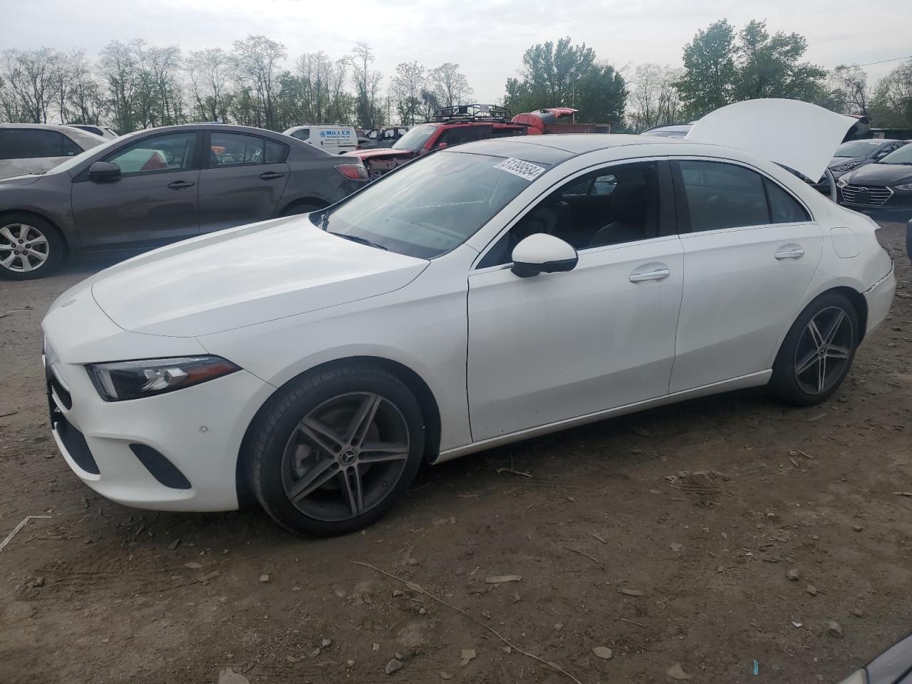 MERCEDES-BENZ A-KLASSE 2019 wdd3g4fb7kw010667