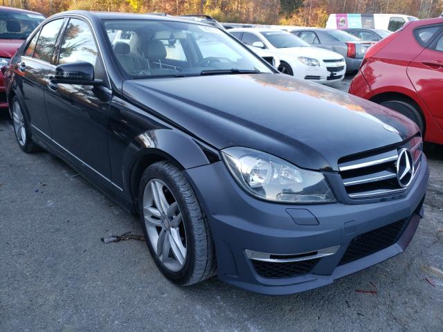 MERCEDES-BENZ C 250 2014 wddgf4hb4eg227819