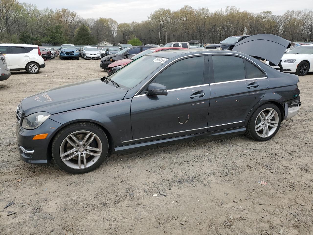 MERCEDES-BENZ C-KLASSE 2014 wddgf8ab7eg229467