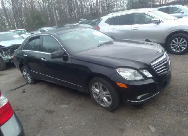 MERCEDES-BENZ E-CLASS 2010 wddhf9ab9aa261005