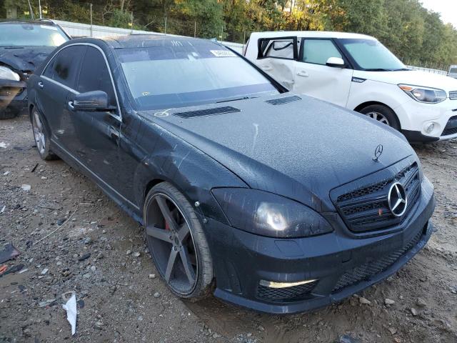 MERCEDES-BENZ S 550 4MAT 2010 wddng8gb4aa289022