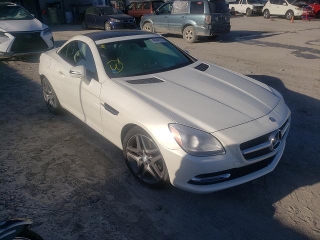 MERCEDES-BENZ SLK 300 2016 wddpk3ja0gf118483