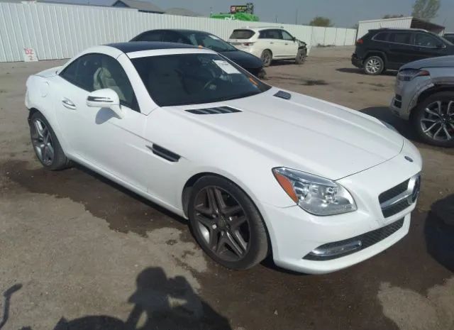 MERCEDES-BENZ NULL 2016 wddpk3ja0gf122405