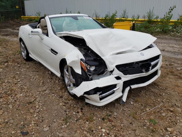 MERCEDES-BENZ SLK 250 2012 wddpk4ha0cf041541