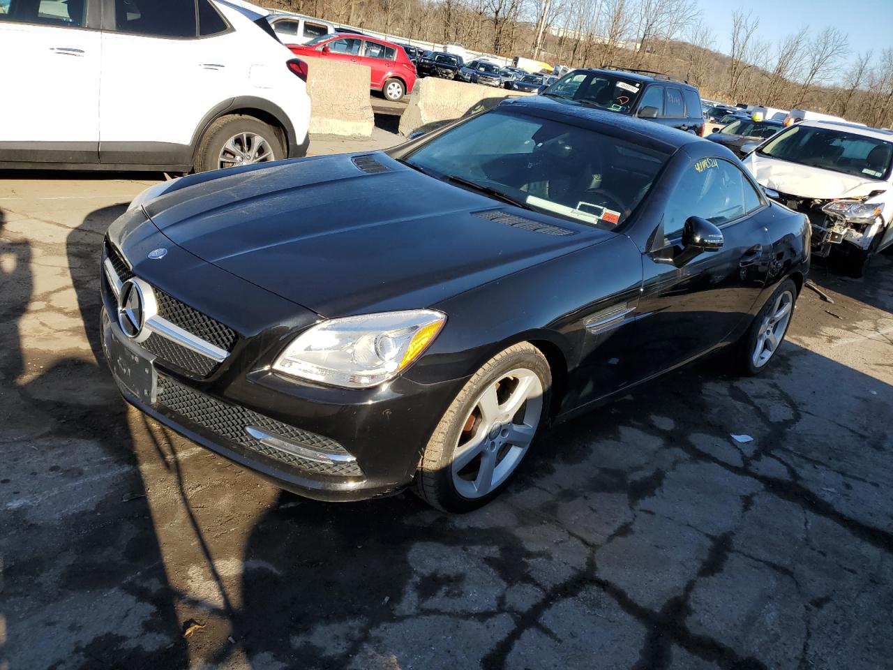 MERCEDES-BENZ SLK-KLASSE 2014 wddpk4ha3ef082149