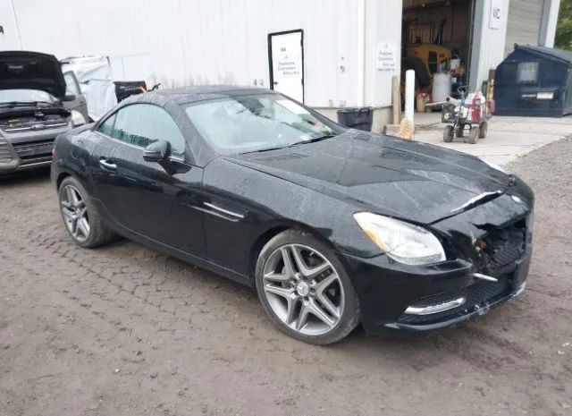 MERCEDES-BENZ SLK-KLASSE 2013 wddpk4ha4df050129