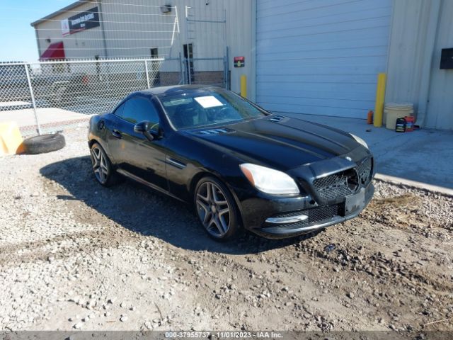 MERCEDES-BENZ SLK-CLASS 2013 wddpk4ha4df059266