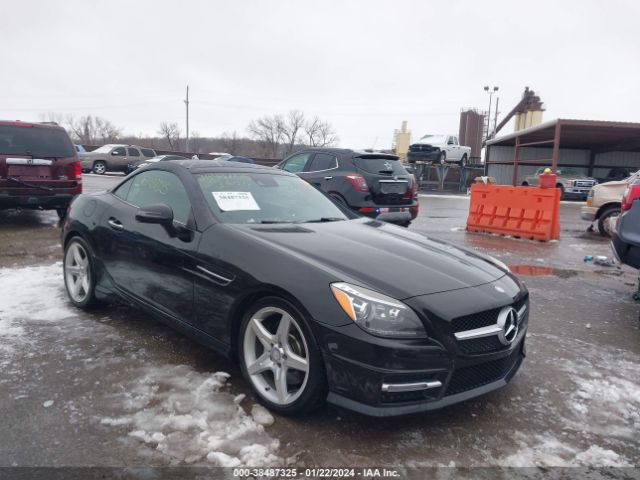 MERCEDES-BENZ SLK 250 2014 wddpk4ha4ef085139