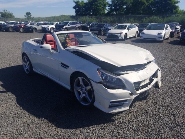 MERCEDES-BENZ SLK 250 2013 wddpk4ha5df059082