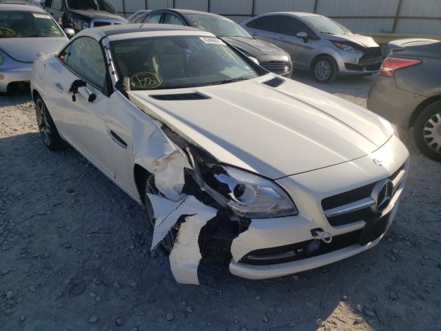 MERCEDES-BENZ SLK 250 2013 wddpk4ha5df065545