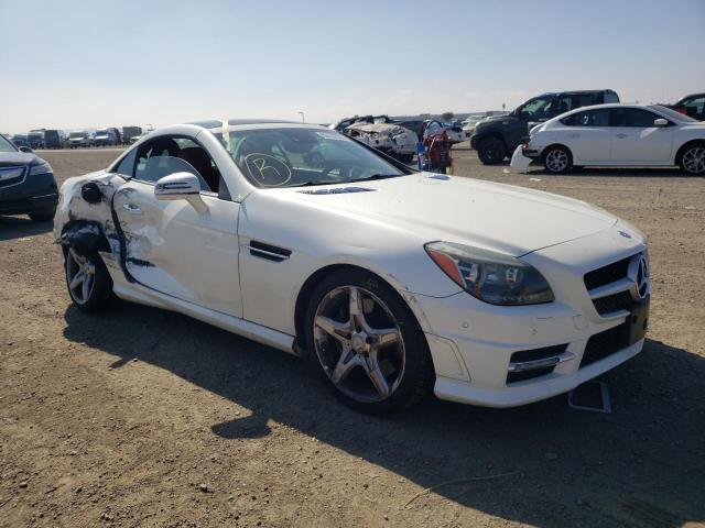 MERCEDES-BENZ SLK 250 2013 wddpk4ha6df053257