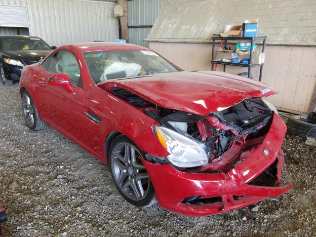 MERCEDES-BENZ SLK 250 2013 wddpk4ha6df056062