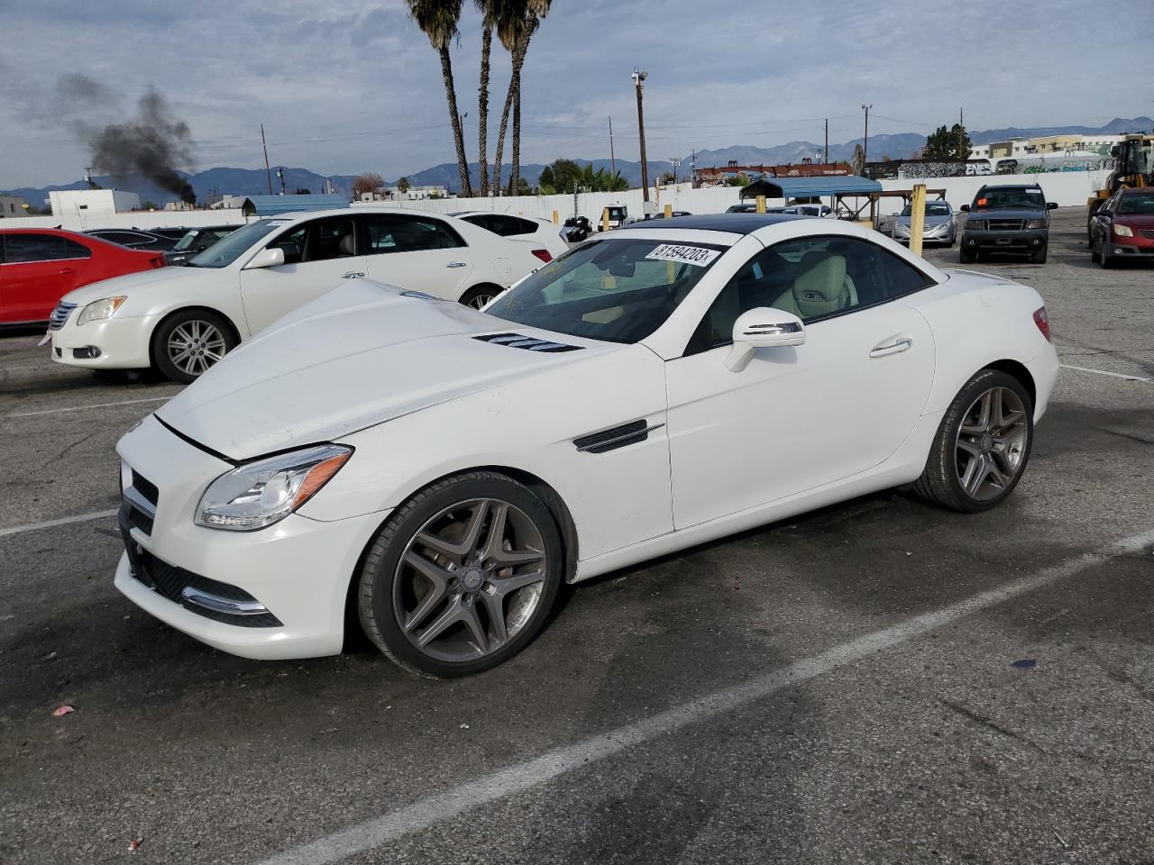 MERCEDES-BENZ SLK-KLASSE 2014 wddpk4ha6ef091606