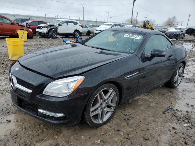 MERCEDES-BENZ SLK 250 2013 wddpk4ha7df071489