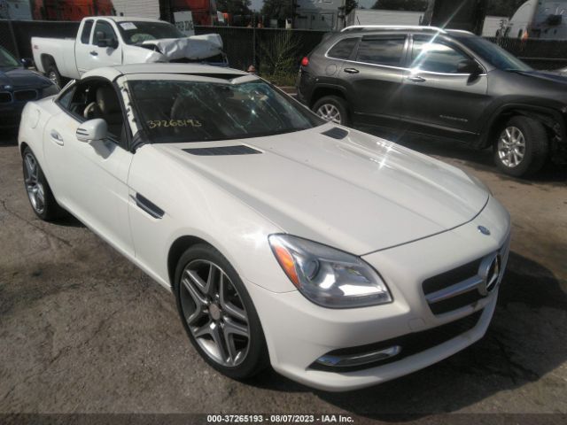 MERCEDES-BENZ SLK-CLASS 2013 wddpk4ha8df052790