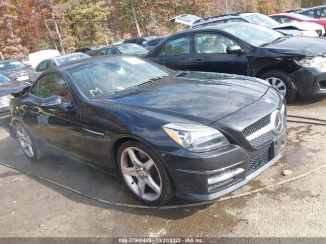 MERCEDES-BENZ SLK-CLASS 2014 wddpk5ha0ef090473