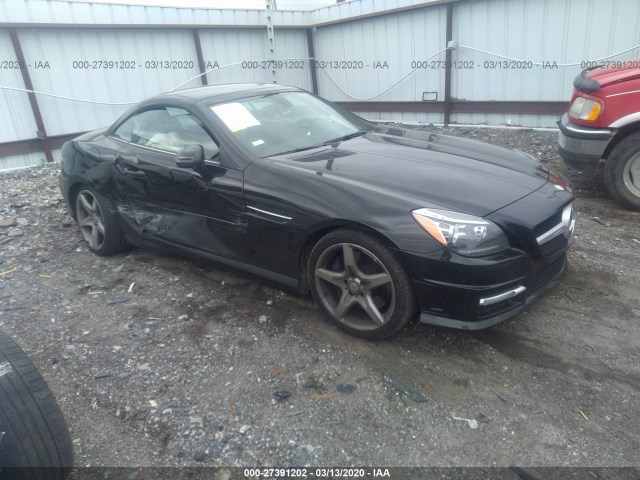 MERCEDES-BENZ SLK-CLASS 2012 wddpk5ha1cf016041