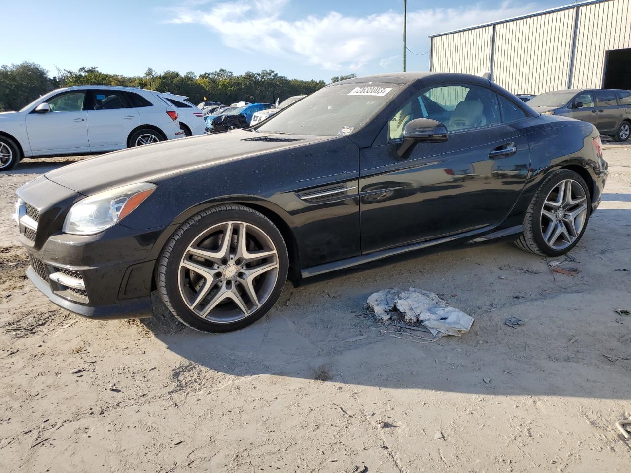 MERCEDES-BENZ SLK-KLASSE 2016 wddpk5haxgf116550