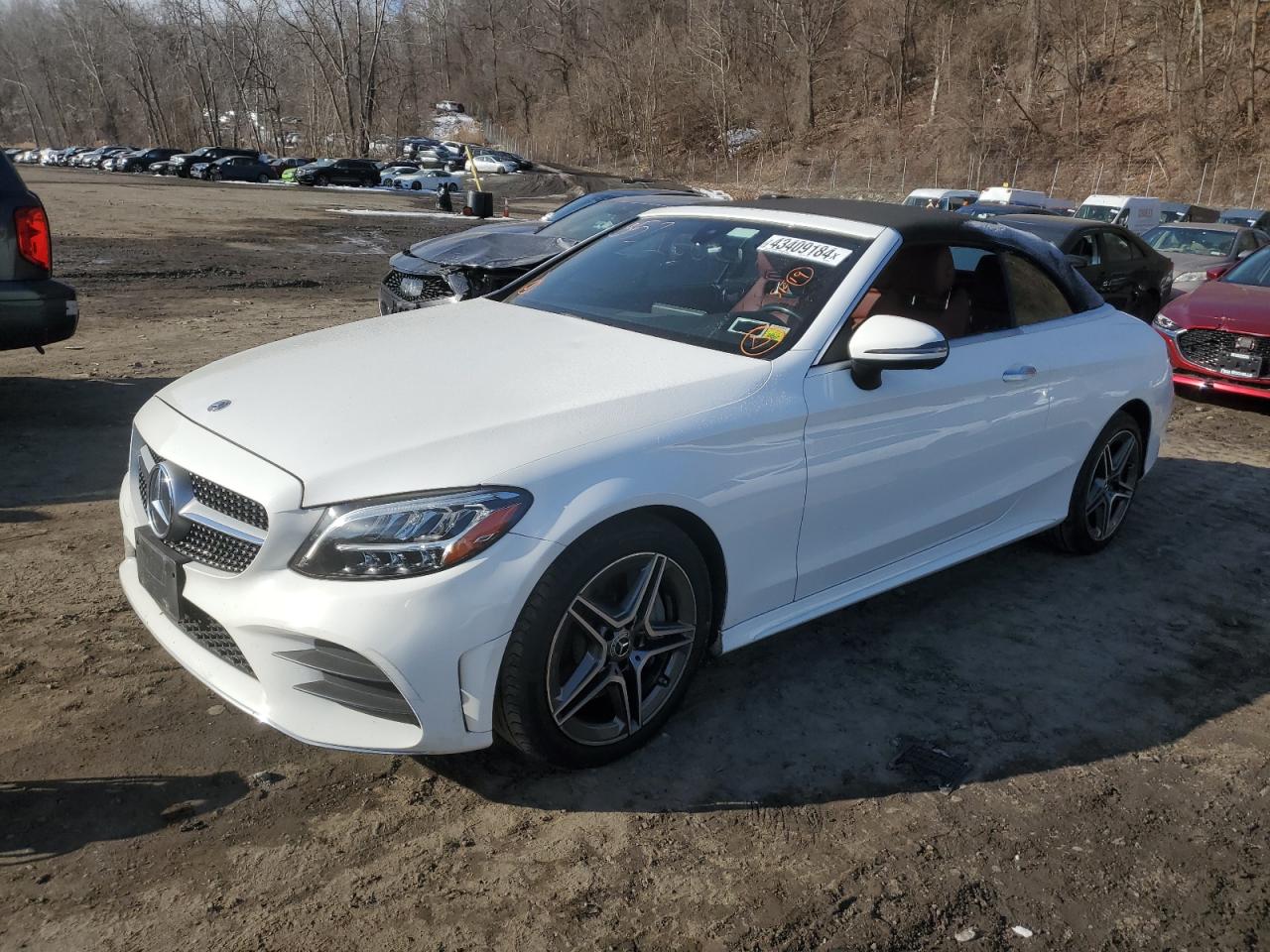 MERCEDES-BENZ C-KLASSE 2019 wddwk8eb5kf896511