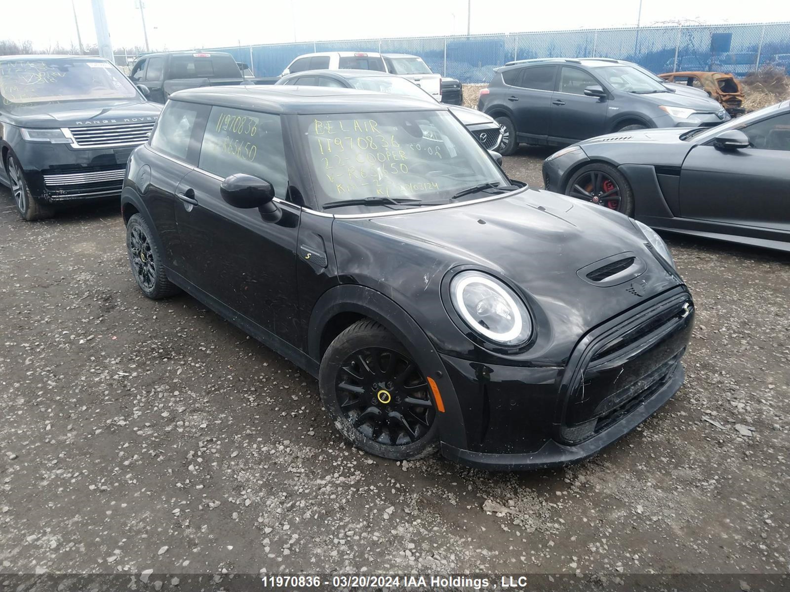 MINI COOPER 2022 wmw13dj04n2r65650