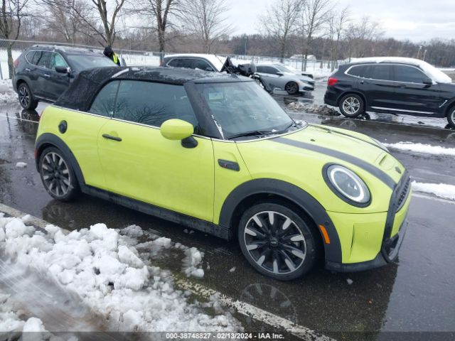 MINI CONVERTIBLE 2023 wmw43dl05p3p80434