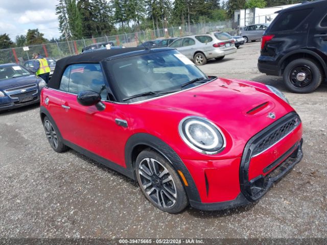 MINI CONVERTIBLE 2023 wmw43dl08p3p77222