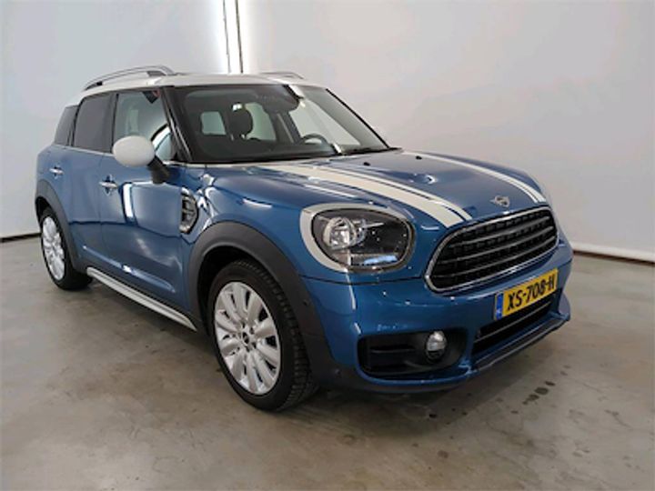 MINI COUNTRYMAN 2019 wmwyw310x03h79858