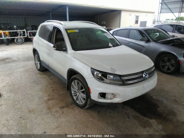 VOLKSWAGEN TIGUAN 2013 wvgav3ax5dw572988