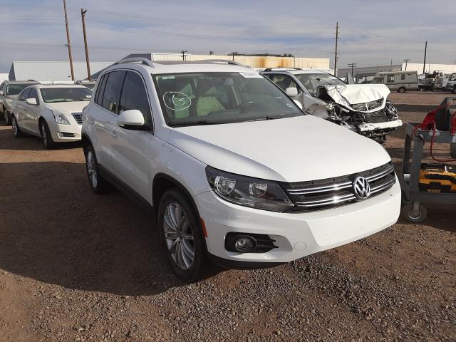 VOLKSWAGEN TIGUAN S 2014 wvgav3axxew552897