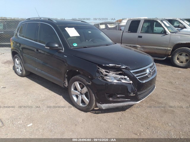 VOLKSWAGEN TIGUAN 2010 wvgav7ax6aw532972