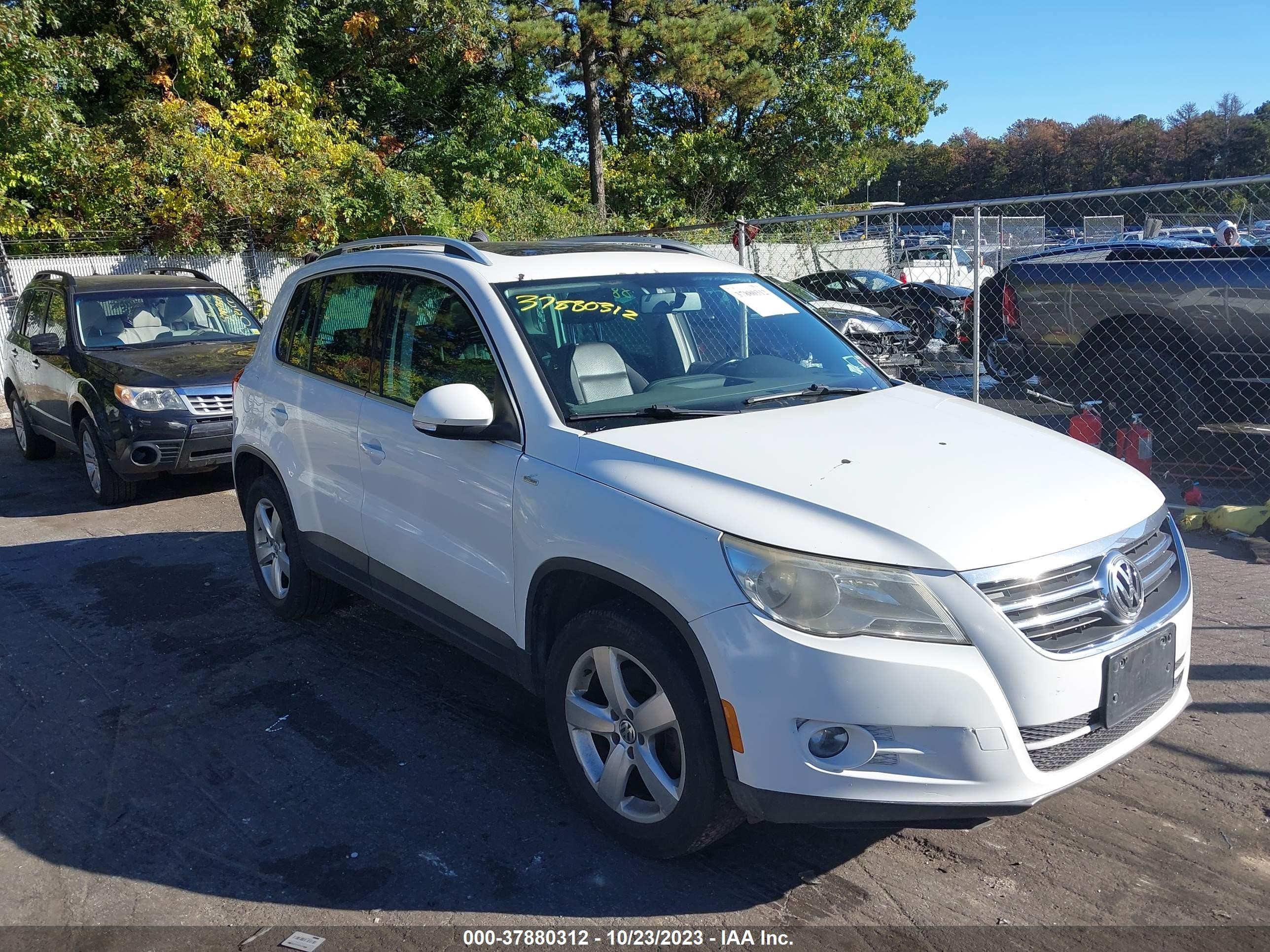 VOLKSWAGEN TIGUAN 2010 wvgav7ax8aw516319