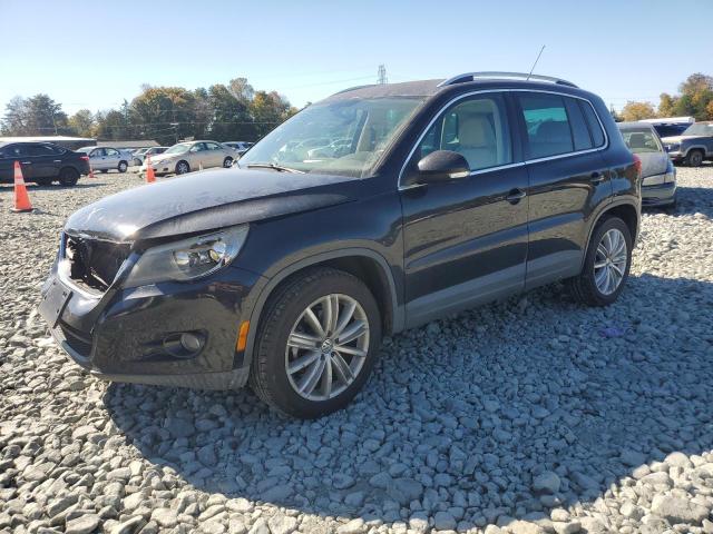 VOLKSWAGEN TIGUAN S 2009 wvgav95n39w525011