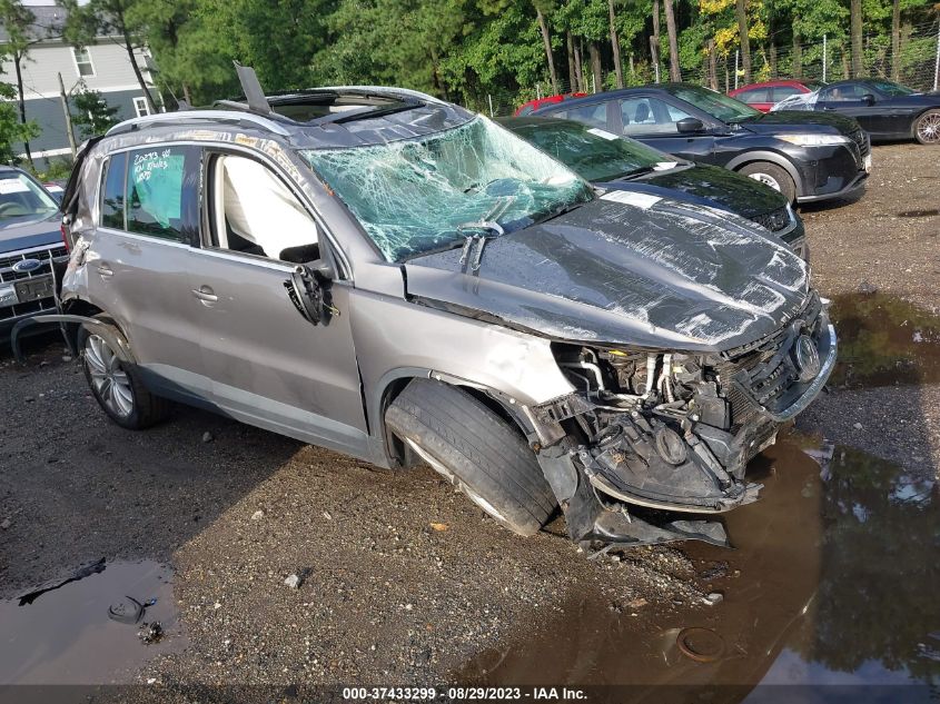 VOLKSWAGEN TIGUAN 2009 wvgav95n99w523912