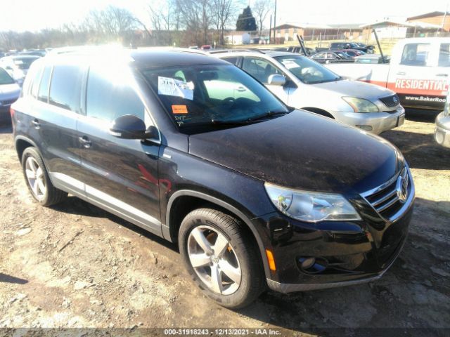 VOLKSWAGEN TIGUAN 2010 wvgav9ax4aw530245