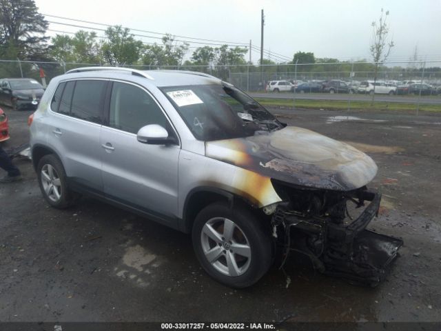 VOLKSWAGEN TIGUAN 2010 wvgav9ax4aw536160