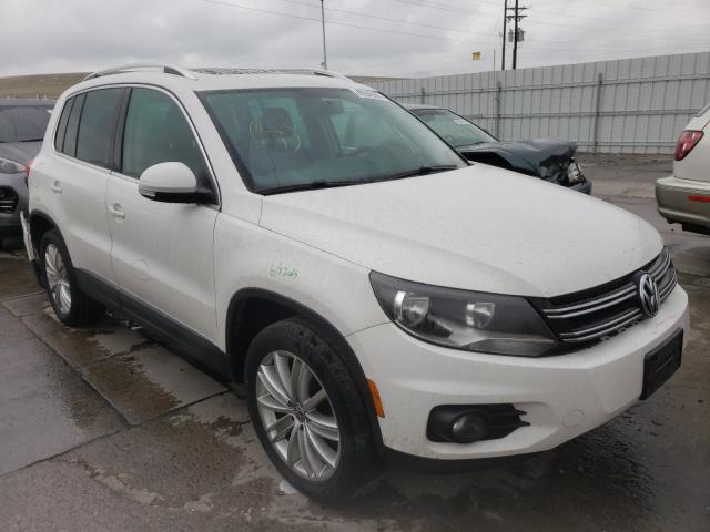 VOLKSWAGEN TIGUAN S 2013 wvgbv3ax0dw616979